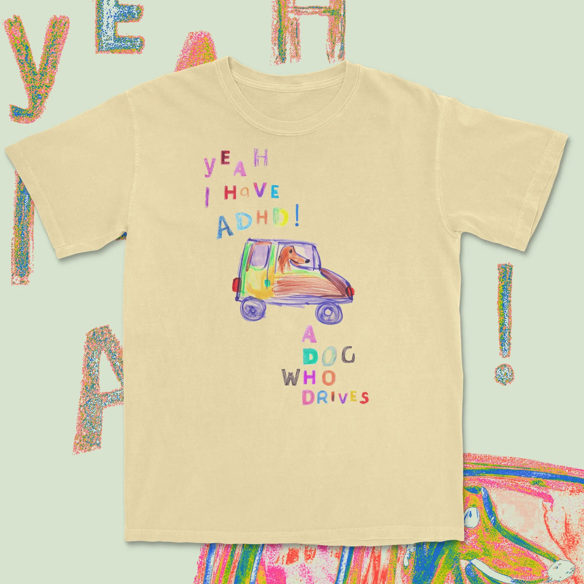 a dog who drives