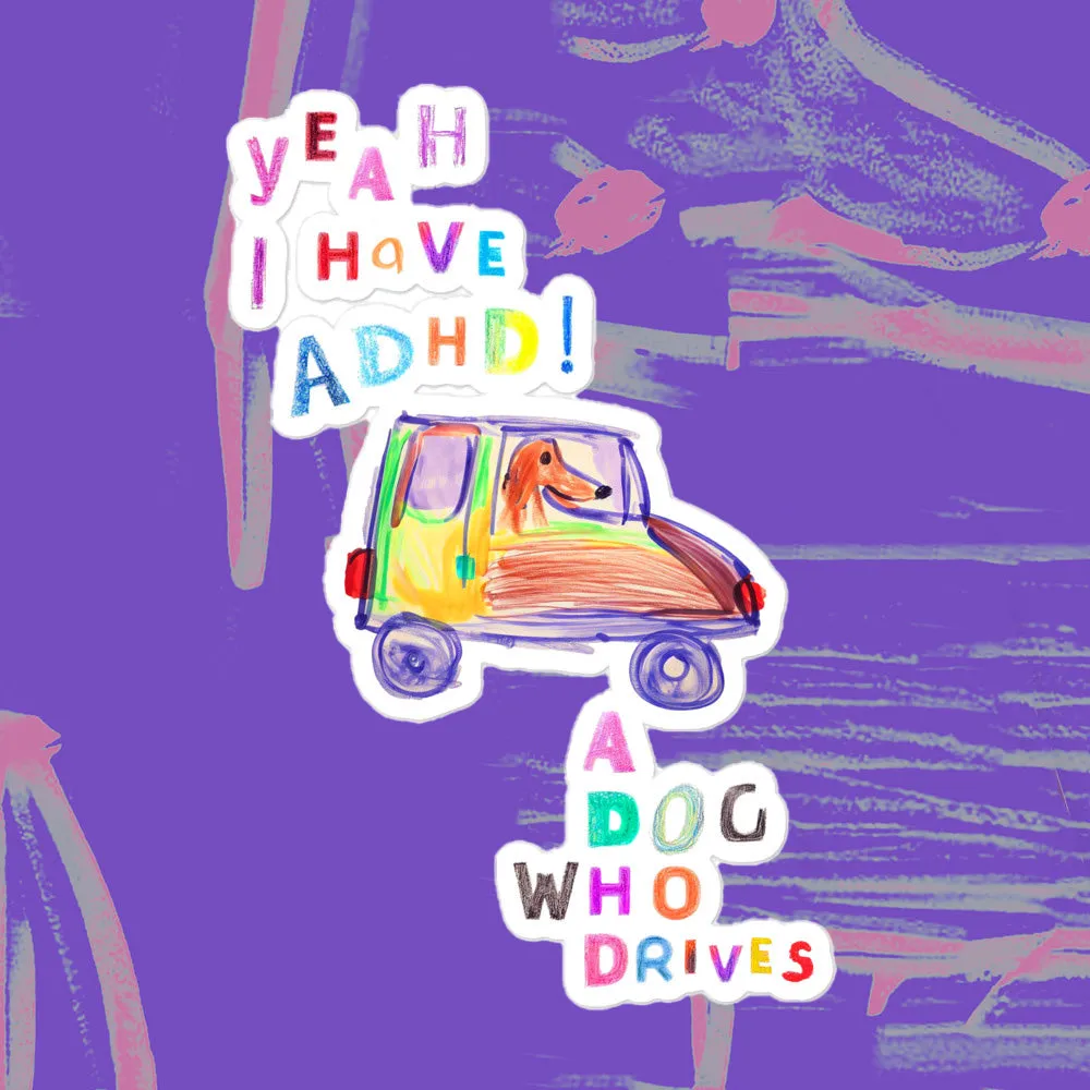a dog who drives