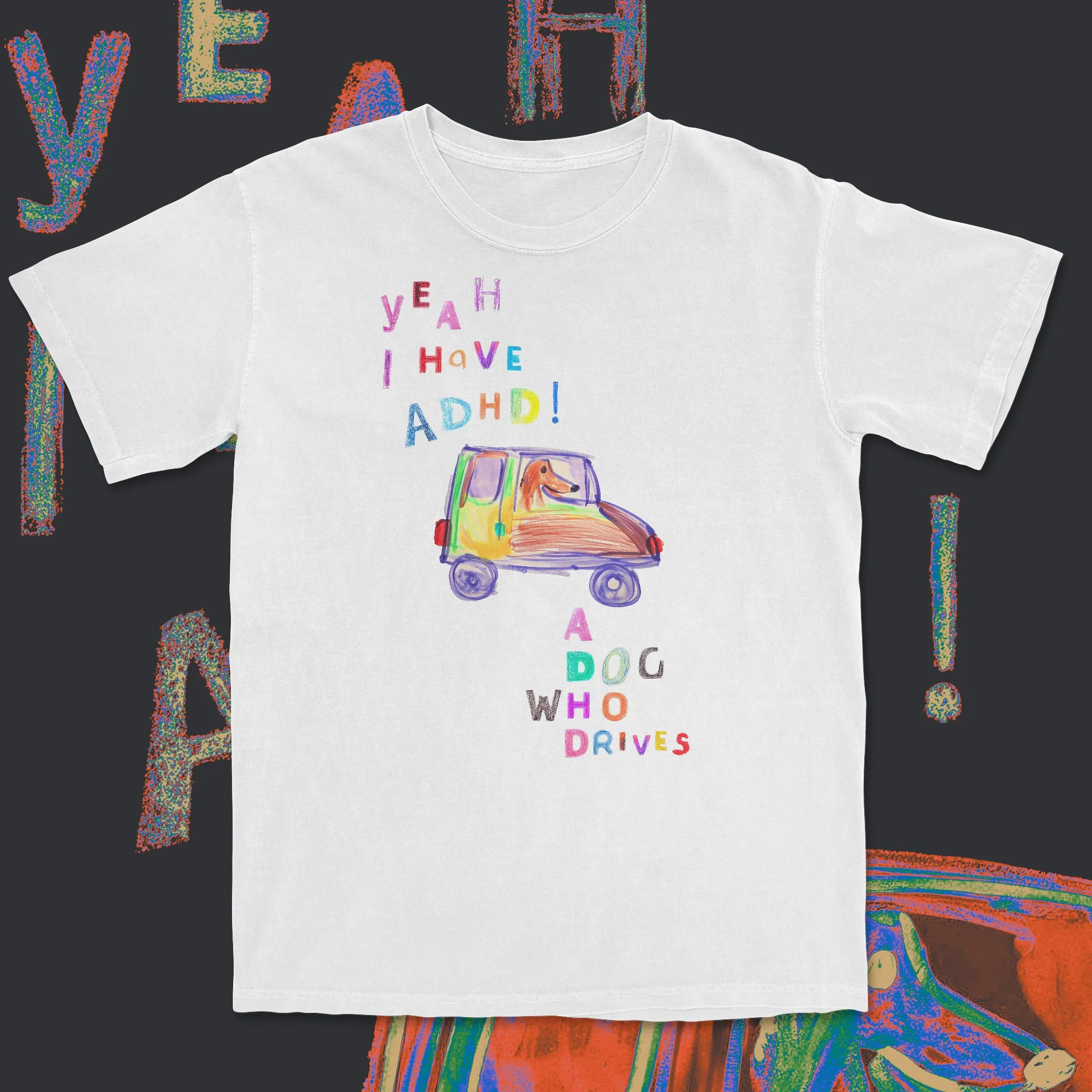 a dog who drives