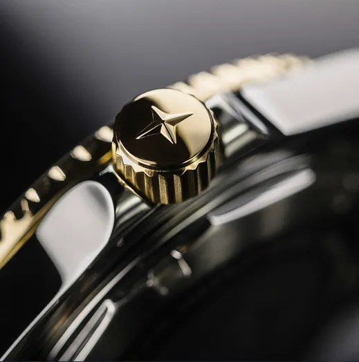 Ternos Medium Automatic 200m Swiss-Made Black Gold Men's Diver Watch 16619750